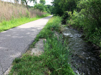 Prairie Trail with Stream