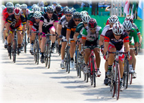 About-Bicycles.com TOur of Elk Grove